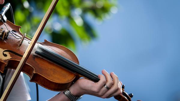 A violin being played with a blue sky  and tree in the background.
