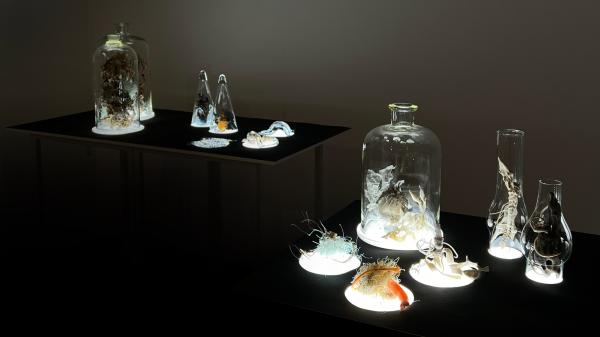 A exhibition exploring the impact of plastics and reimagining how our natural world might be studied by future generations.